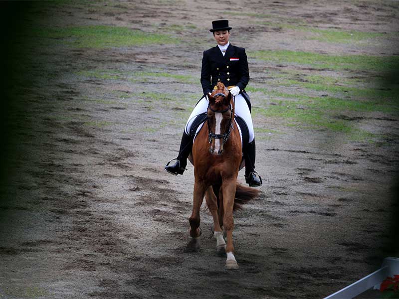 Atlet Equestrian (Ketangkasan Kuda) Indonesia, Larasati Gading dengan kudanya