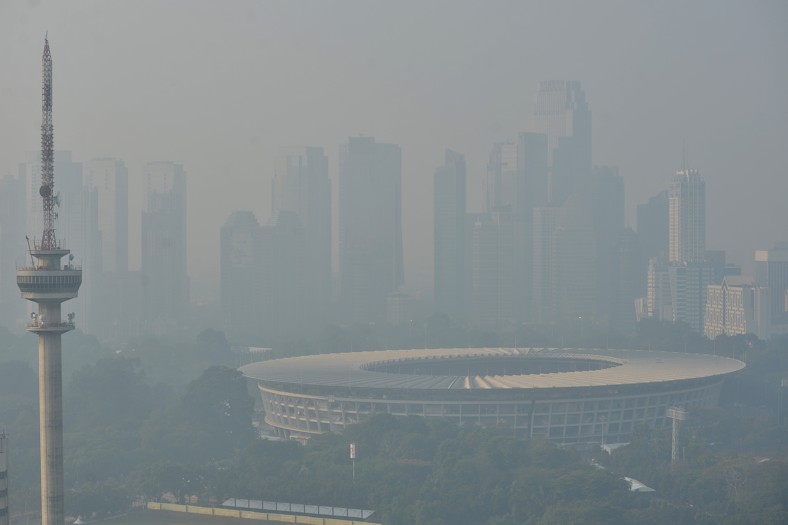 Dampak Polusi Udara bagi Kesehatan