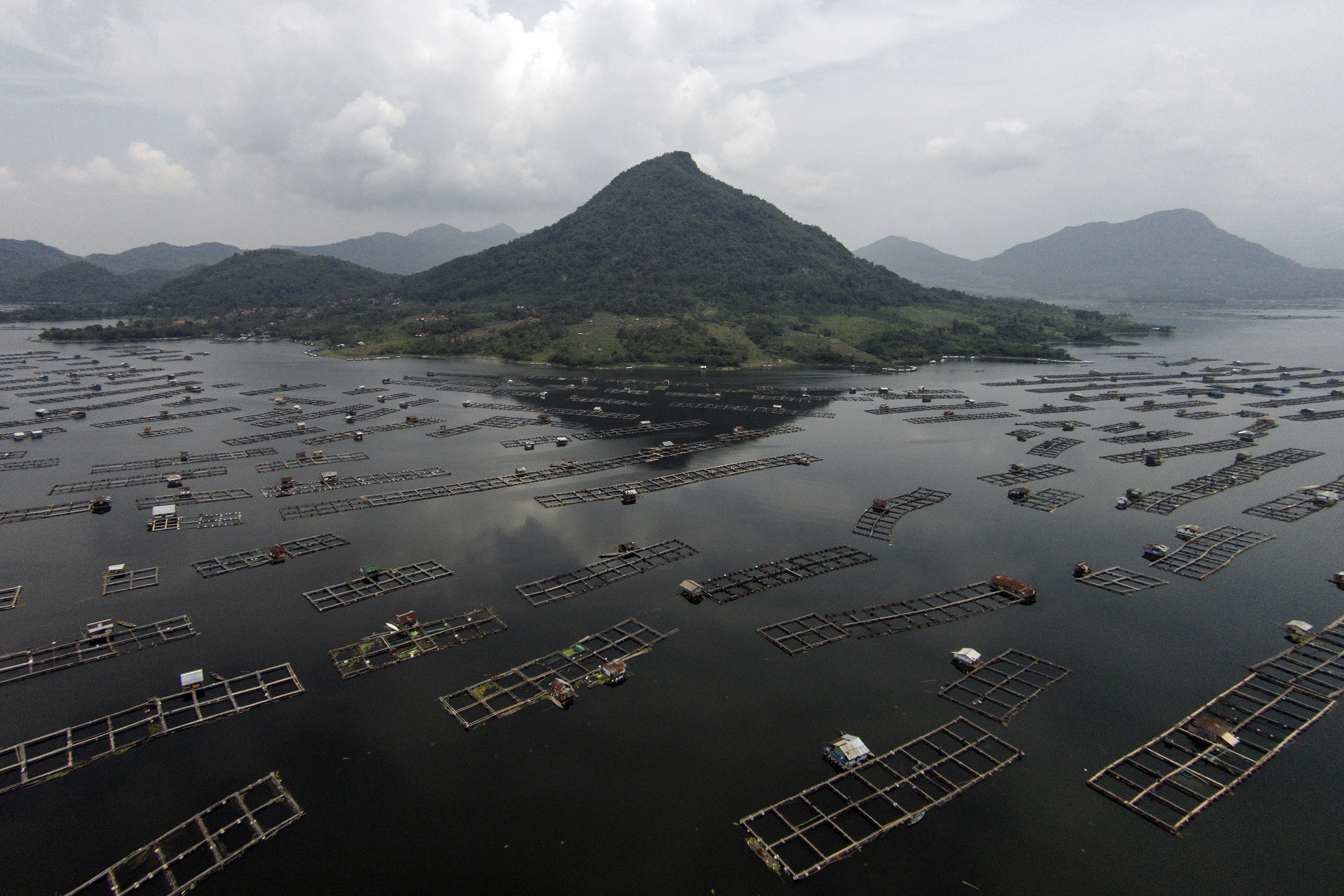 Foto aerial karamba jaring apung (KJA) di Waduk Jatiluhur, Purwakarta, Jawa Barat, Minggu (16/4). 