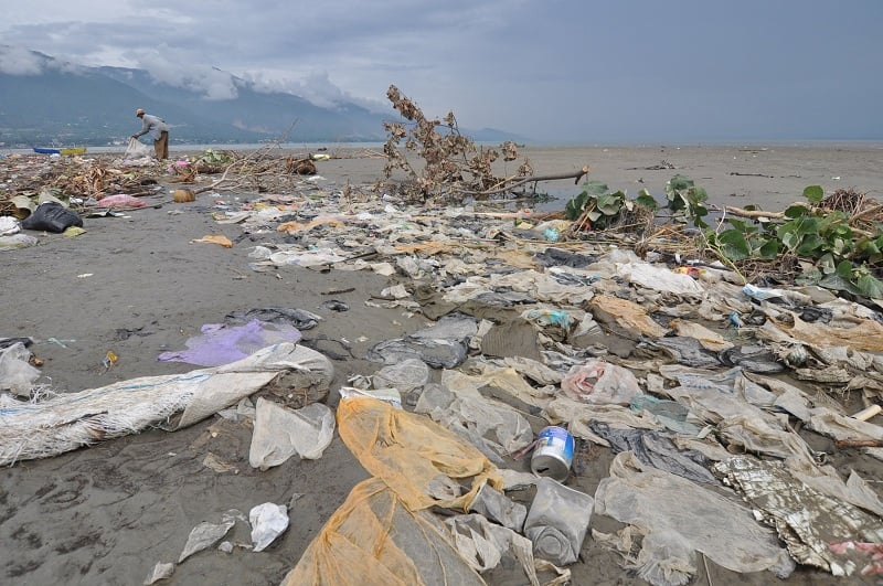 Sampah plastik dapat mengganggu biota laut