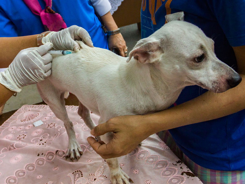 ANTARA FOTO/Galih Pradipta