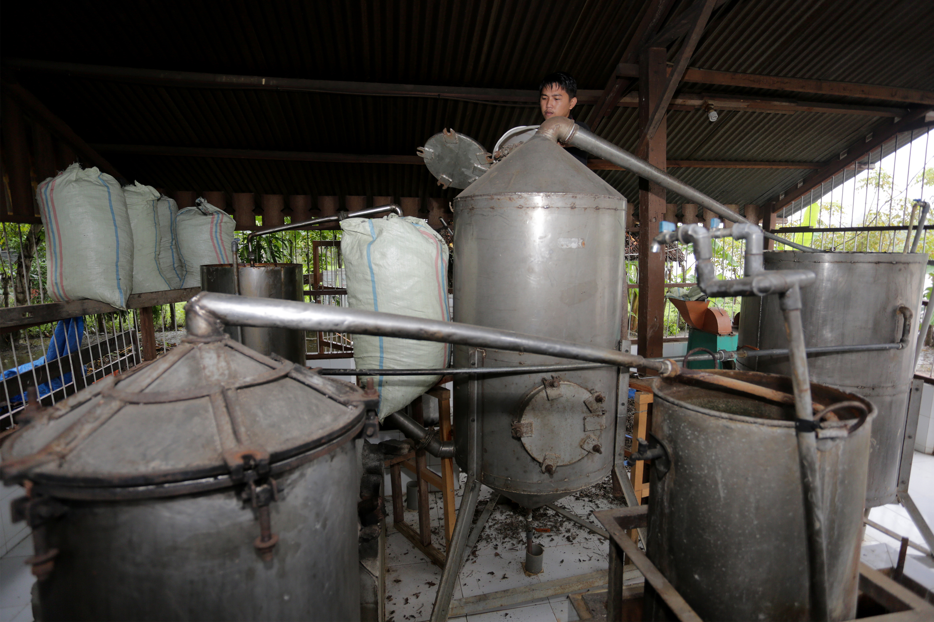 Atsiri Jadi Andalan Tingkatkan PAD Solok