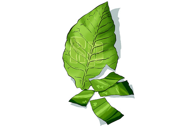 Evolusi Produk Tembakau, dari Rokok Konvensional hingga HNB