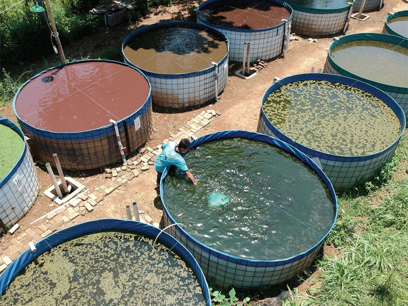 Akuakultur Lestari dengan Resirkulasi