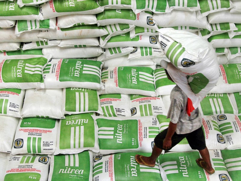 Pekerja membawa pupuk