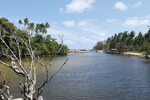 Bertamu ke Rumah Dugong