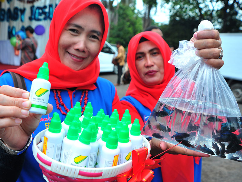 Jumantik Dinilai Mampu Mengatisipasi DBD