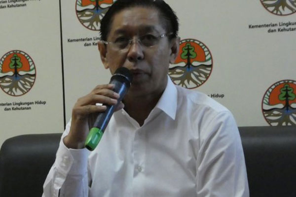 Tanggul Melintang untuk Tailing Freeport Sedang Dikaji