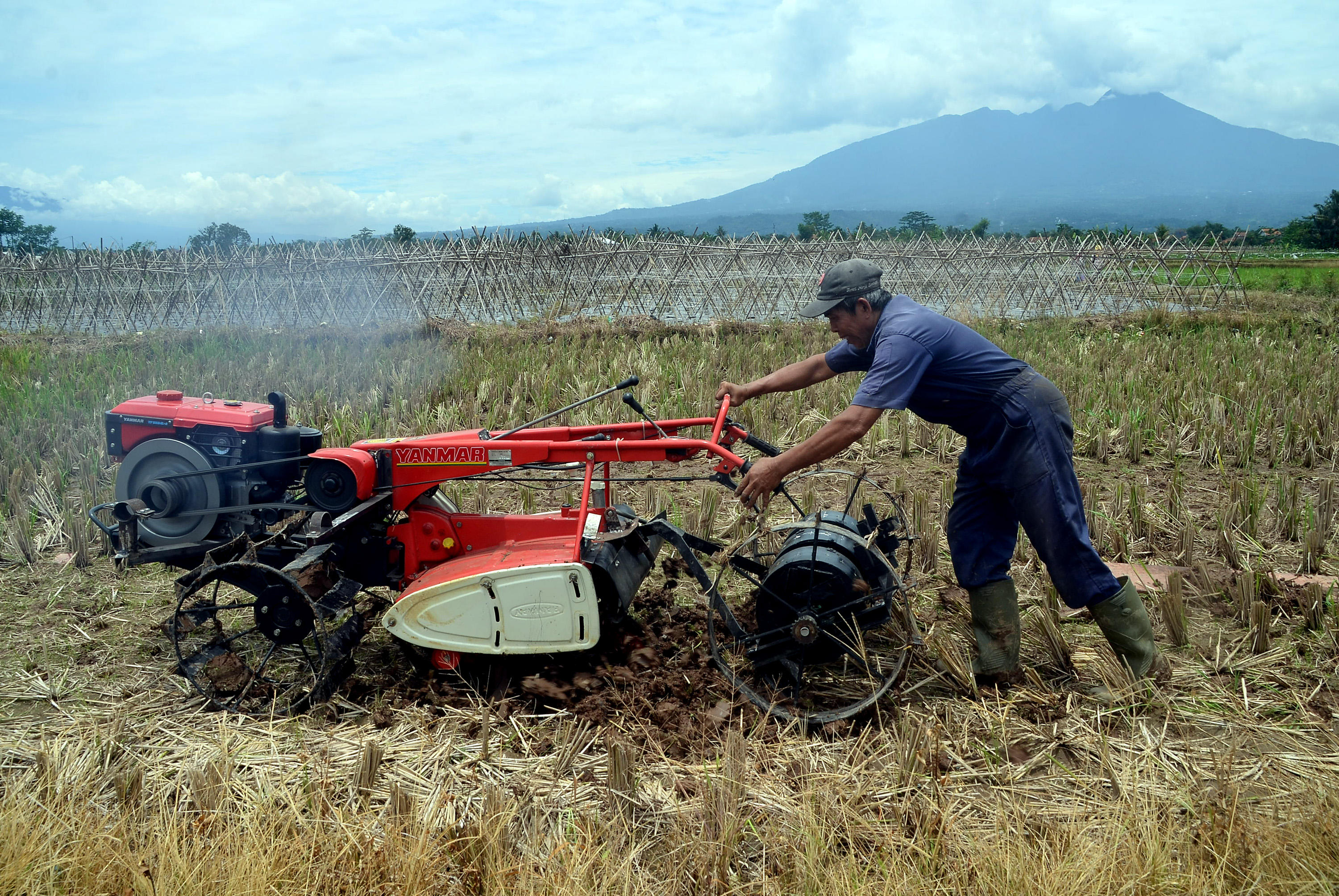 Peneliti dari Institut Pertanian Bogor (IPB) melakukan uji coba pengembangan teknologi pertanian alat tanam benih langsung di kawasan Laladon, Kabupaten Bogor, Jawa Barat, Senin (3/10). Penelitian dan uji coba yang dilakukan IPB tersebut merupakan inovasi 