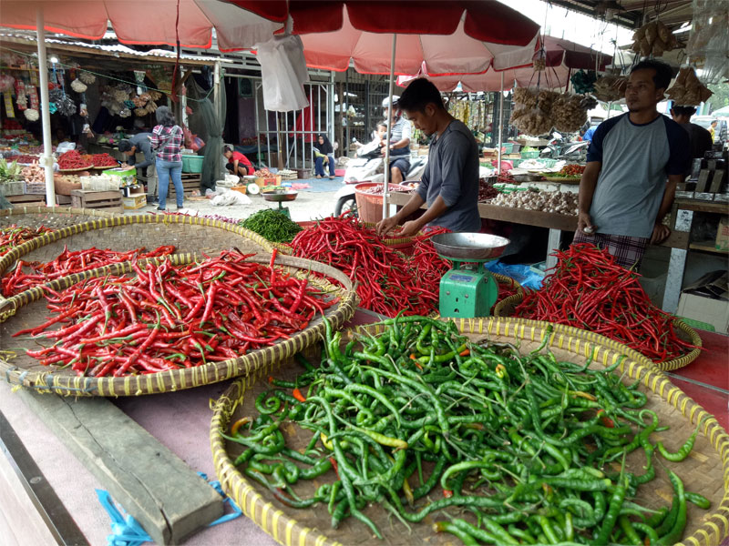 Distributor Setop Kirim Cabai Besar dengan Pesawat