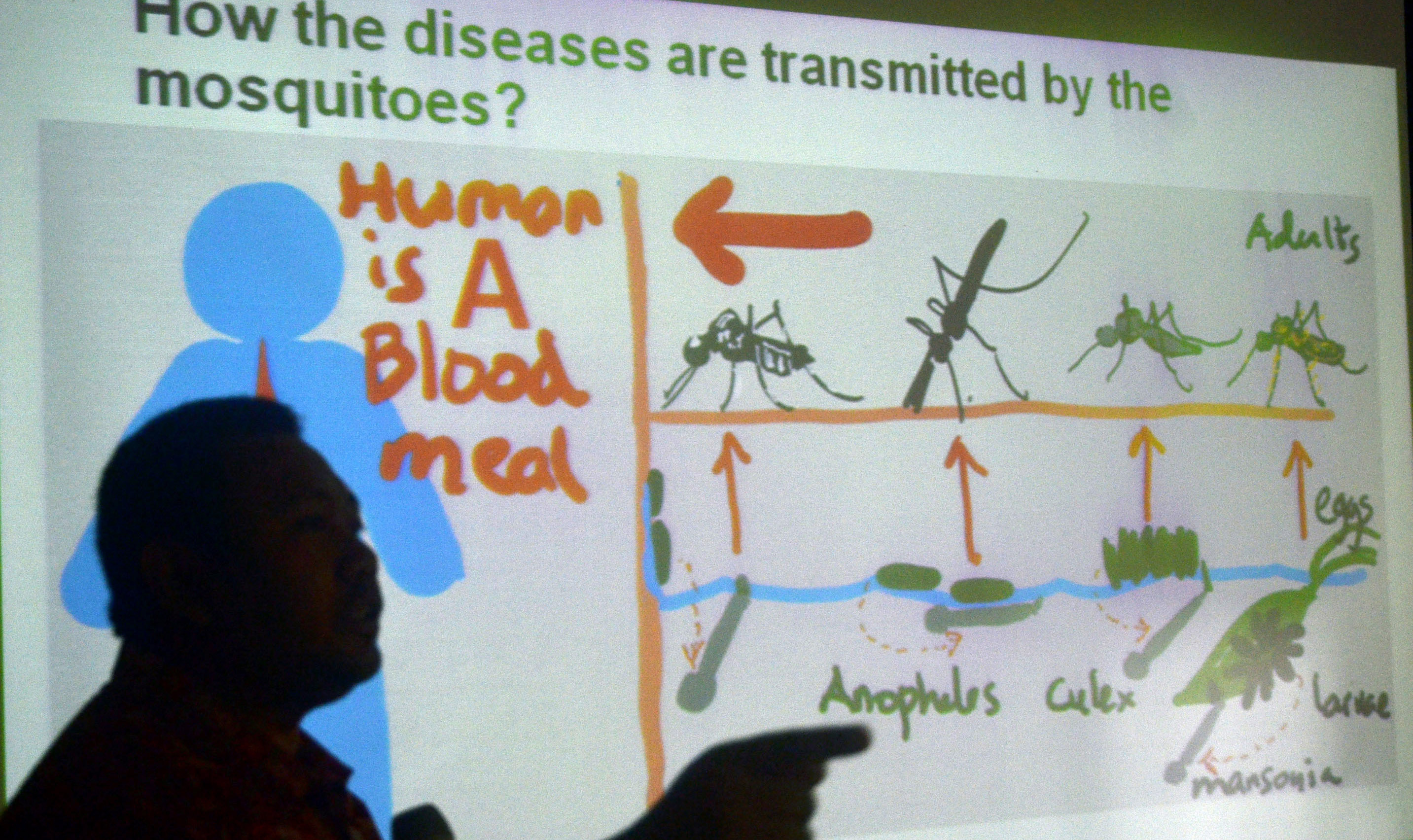 Pasca Penetapan KLB, Kasus DBD di Sragen Terus Bertambah
