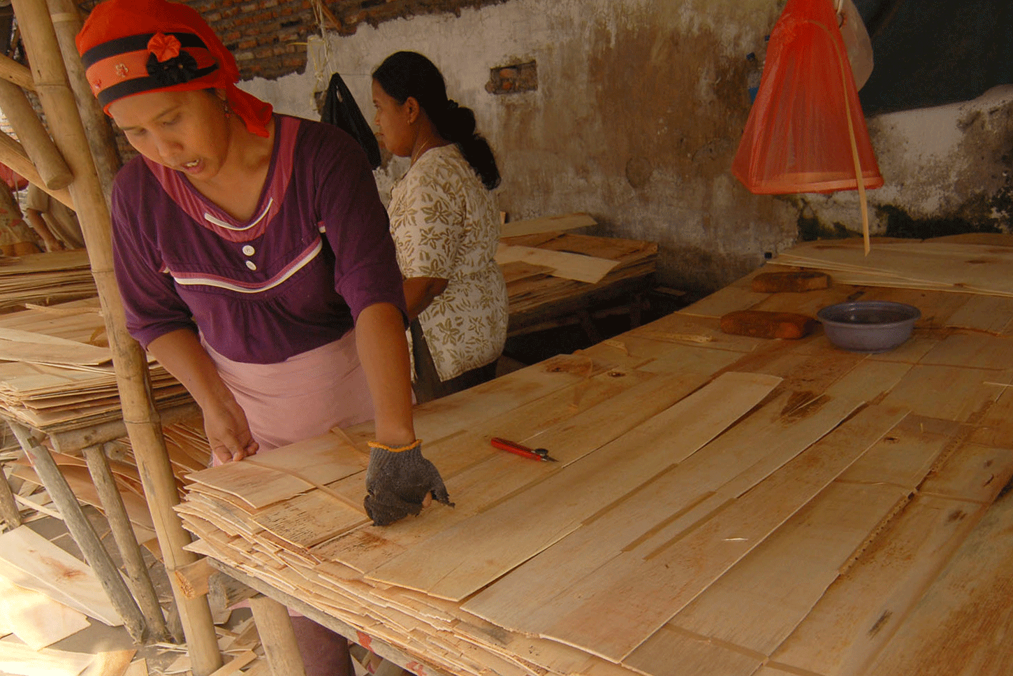 Manfaat Ekonomi dari Hutan Didorong