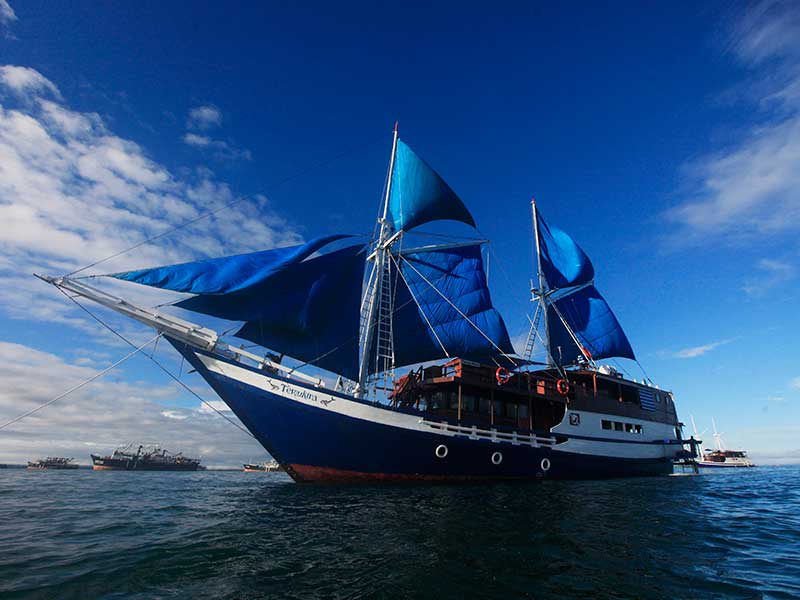  Kapal wisata bertema Live on Board, Temukira, di pelabuhan Sorong, Papua Barat