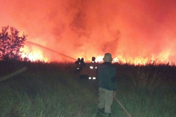 Badai dan Kebakaran Hutan Mulai Intai Sumatera Utara
