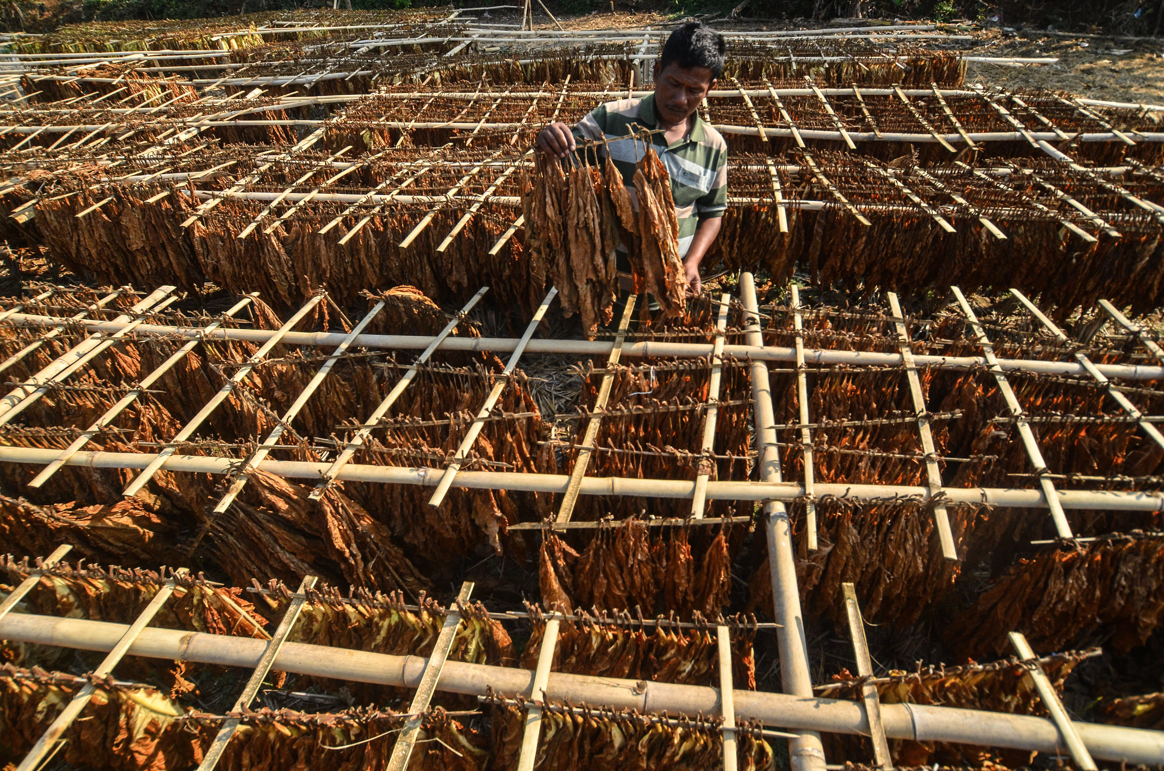  Produk Tembakau Alternatif Perlu Dapat Perhatian