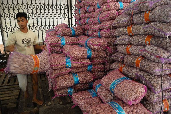 Pemerintah Sebut Impor Bawang Putih tidak Bebani Bulog