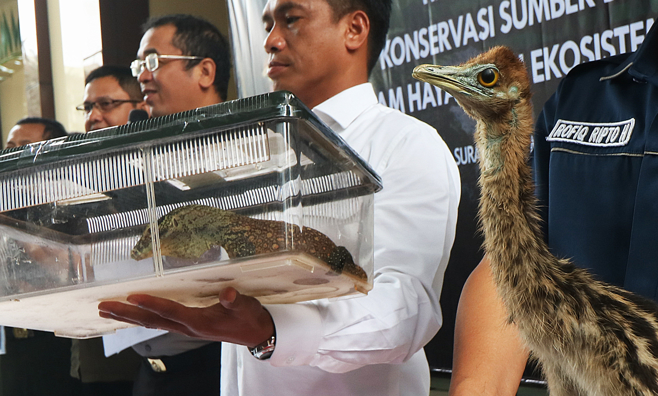  Polisi menunjukkan barang bukti satwa saat ungkap kasus perdagangan satwa dilindungi di Polda Jawa Timur, Surabaya, Jawa Timur, Rabu (27/3)