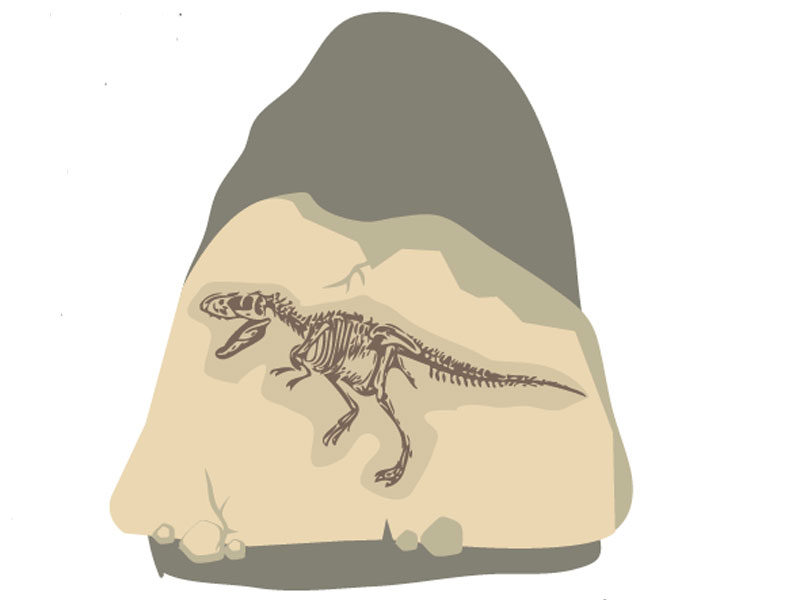 Ilustrasi Fosil