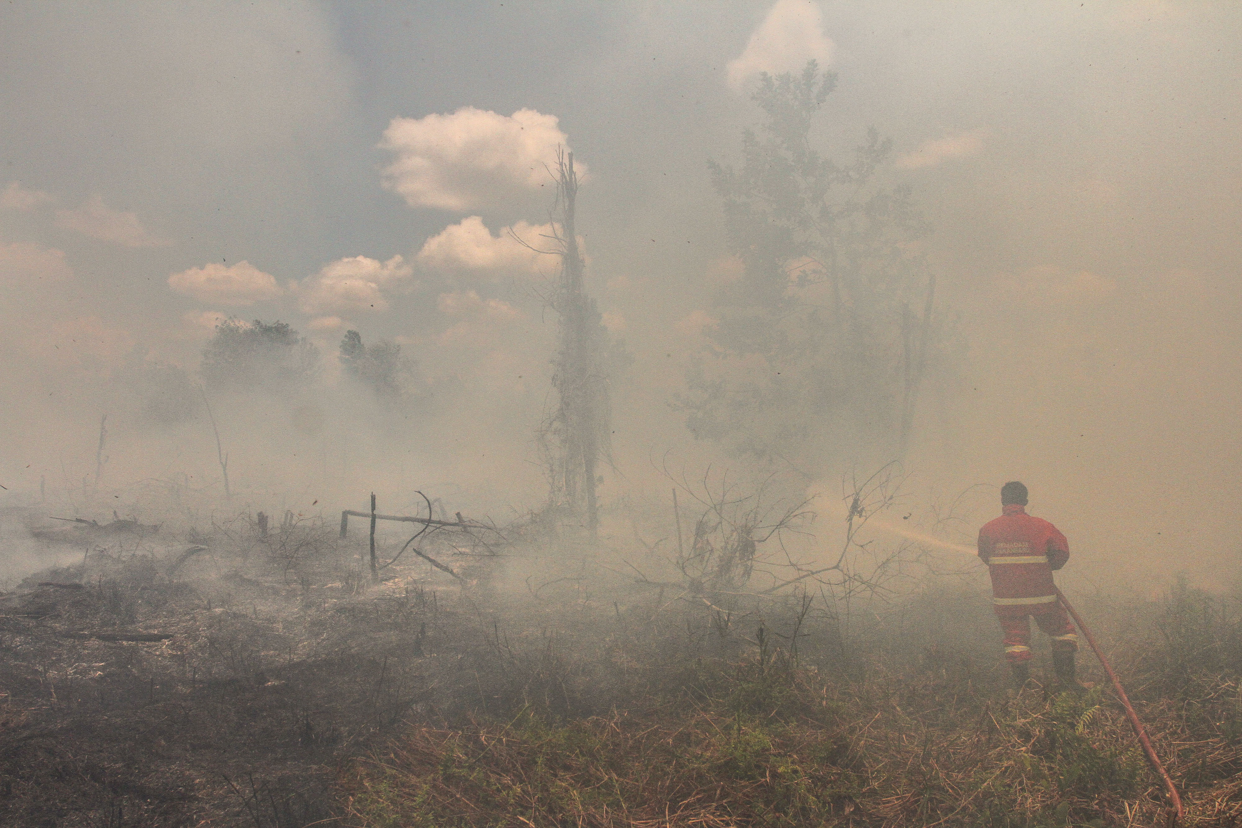 Iliustrasi kebakaran gambut