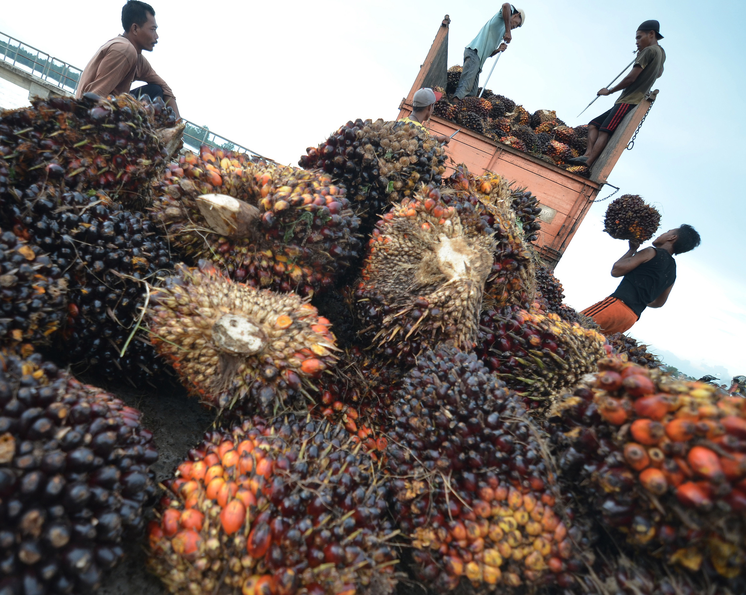 Penangguhan Pungutan Ekspor CPO Jadi Insentif Pelaku Usaha