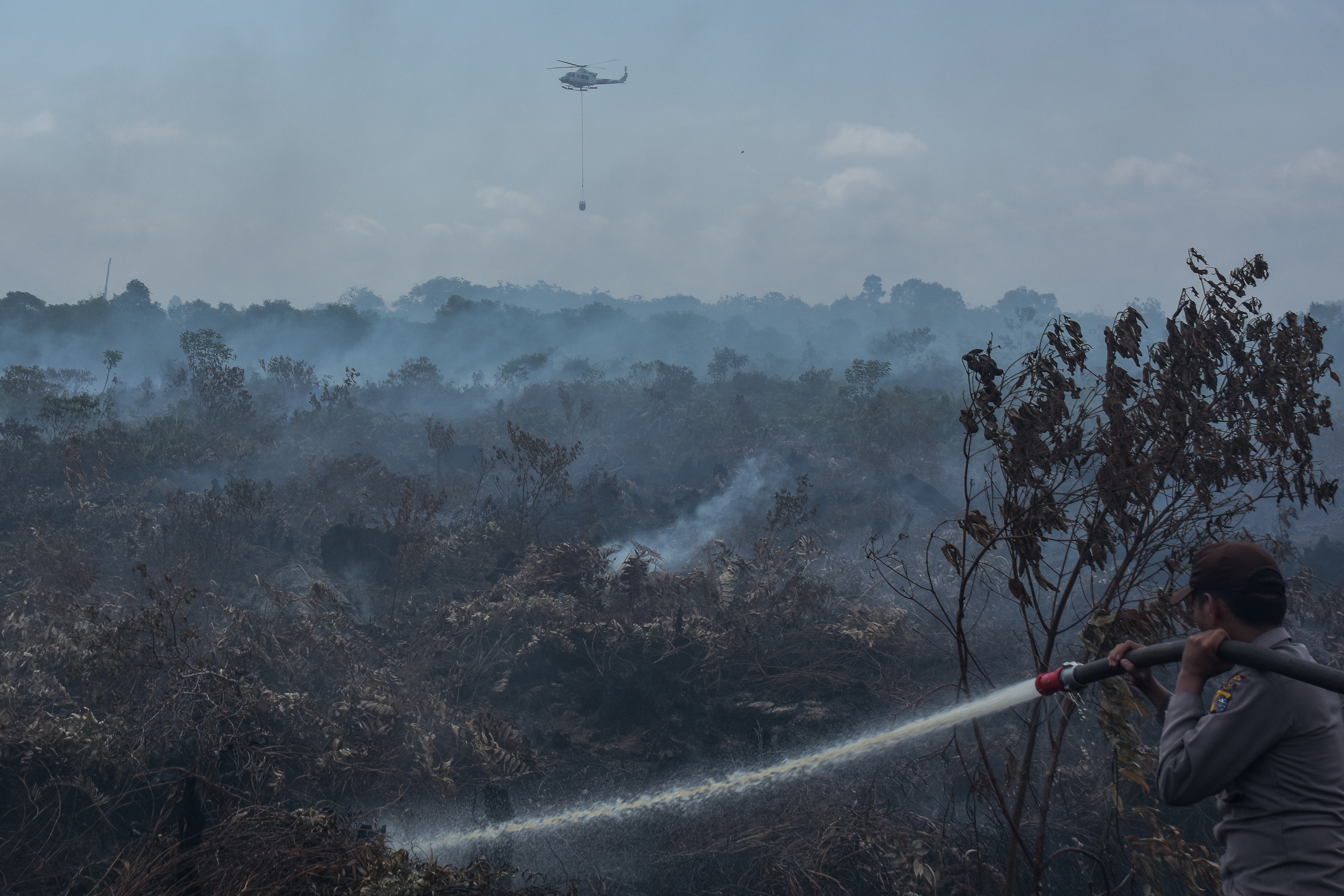 Kebakaran Hutan di Riau akibat Ulah Manusia
