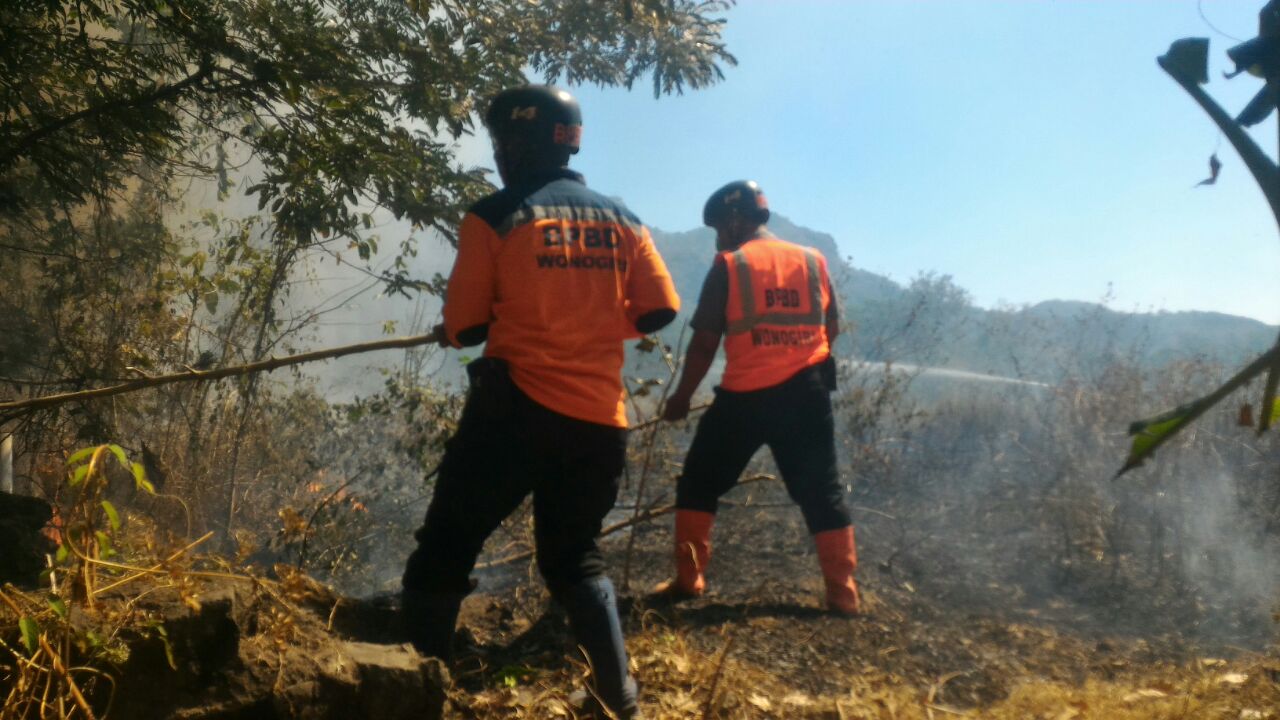 Para relawan BPBD melakukan upaya pemadaman pada  sisa-sisa api yang masih meluas di semak-semak hutan