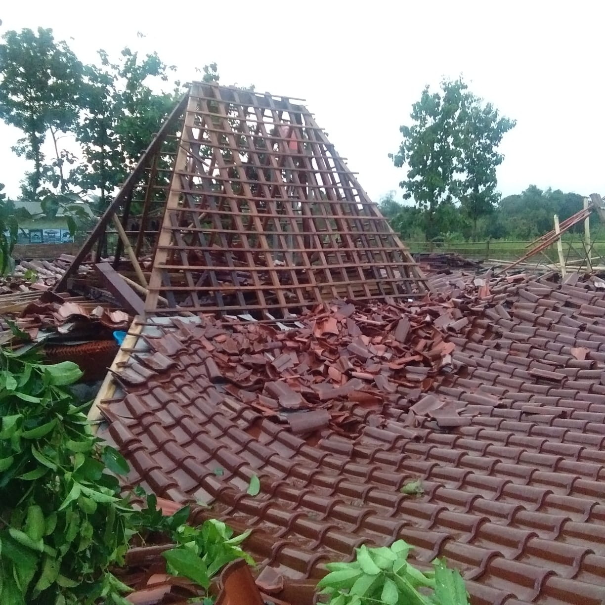 Rumah joglo roboh diterjang hujan lebat disertai angin kencang di Juwiring. 