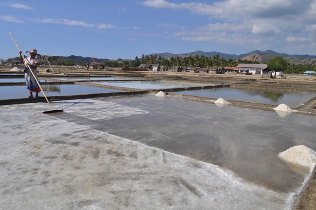 Petani garam di kaburea, Kabupaten Nagekeo, NTT. 