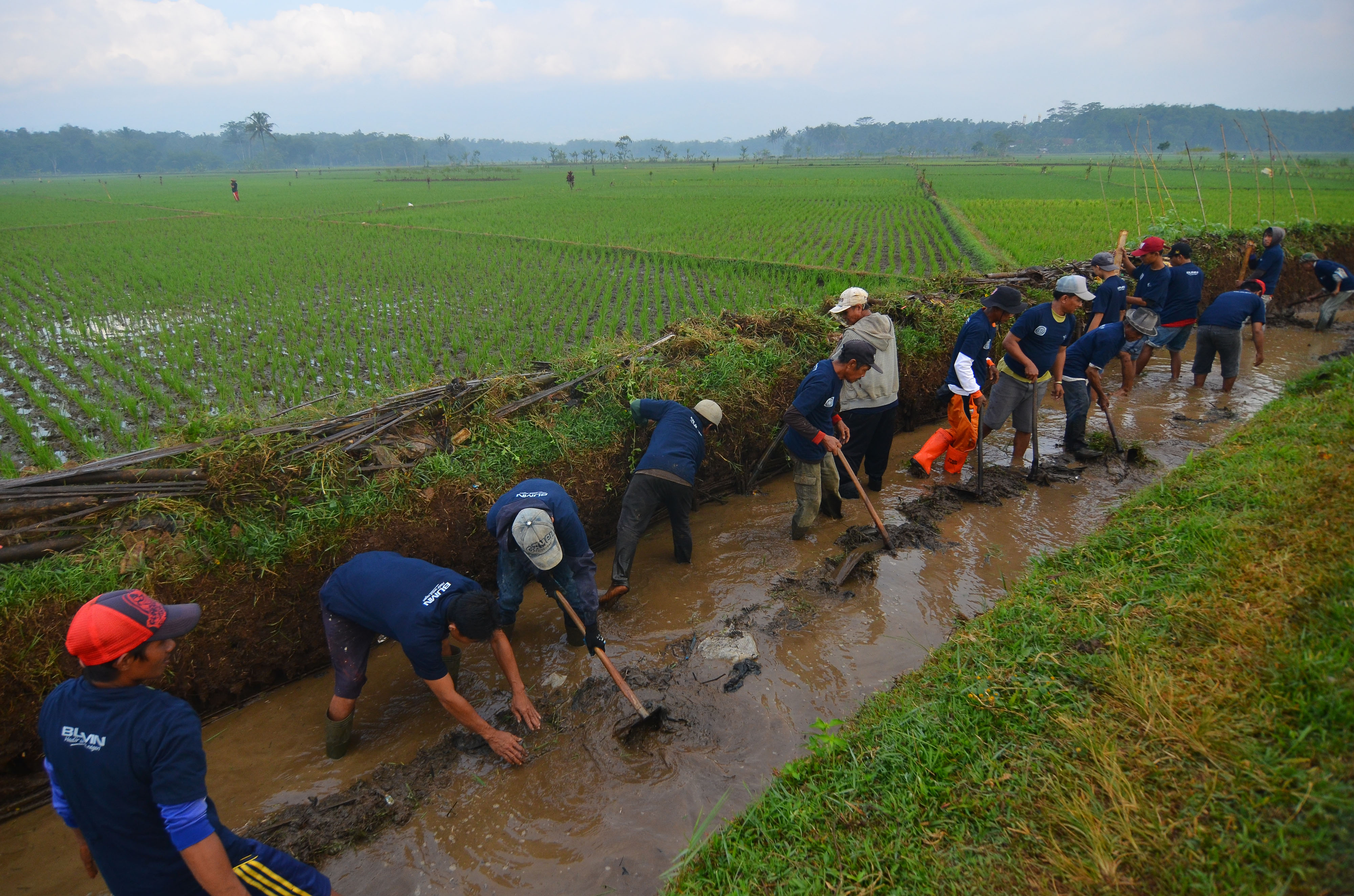 Sejumlah warga bergotong royong membangun saluran irigasi untuk mengairi lahan pesawahan