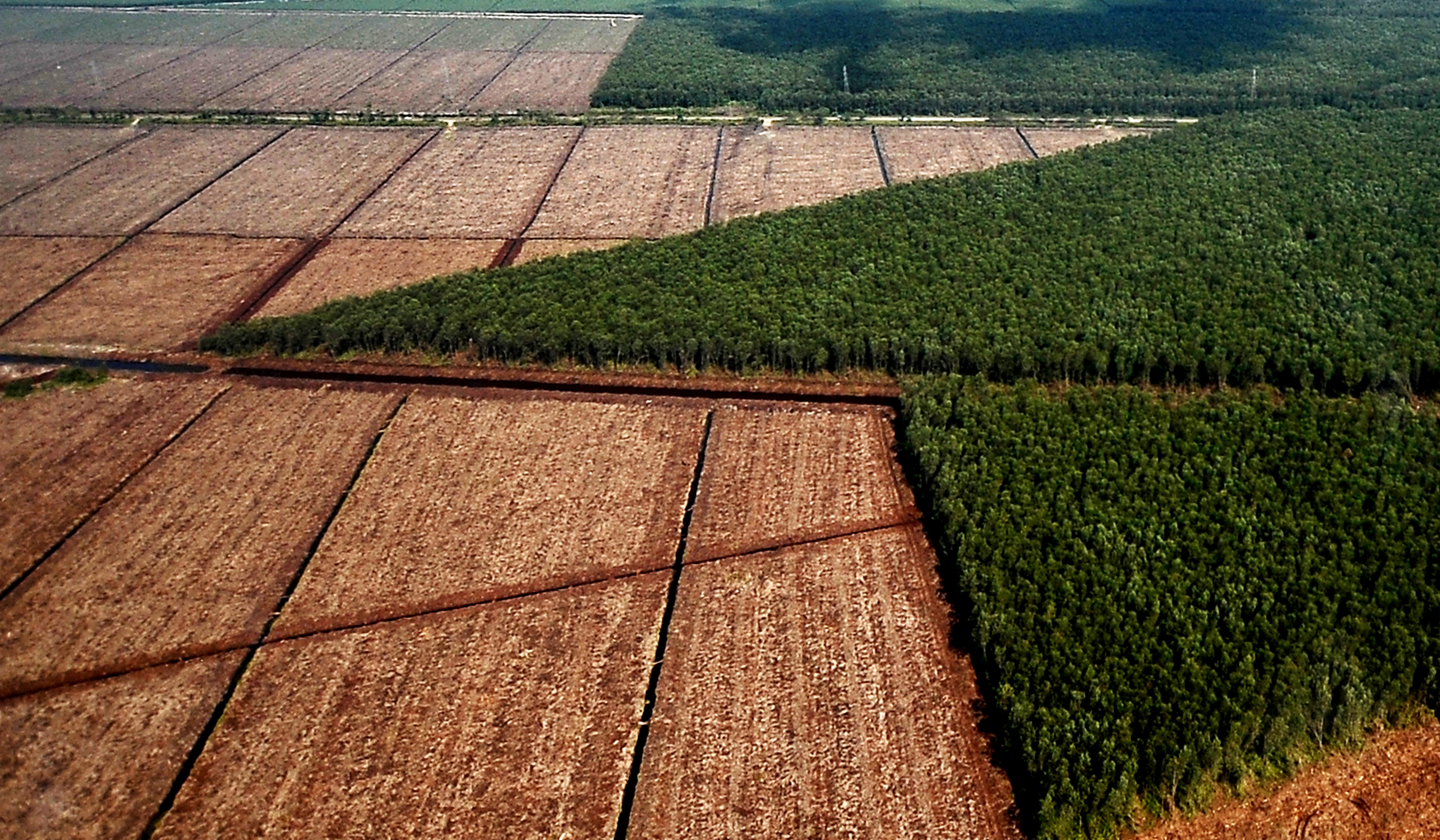 Foto udara pola pembangunan sekat kanal di lahan gambut Tanjungjabung Timur, Jambi