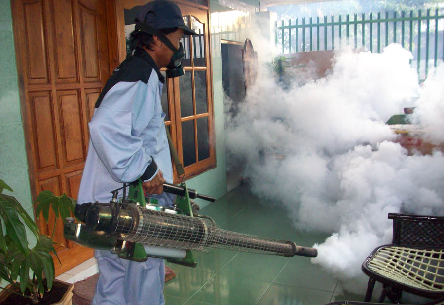 Petugas Dinkes melakukan pengasapan di rum ah warga yang diduga menjadi sarang nyamuk penyebar virus Chikungunya