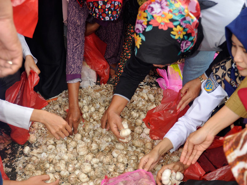 Operasi pasar khusus bawang putih digenjot untuk menstabilkan harga.
