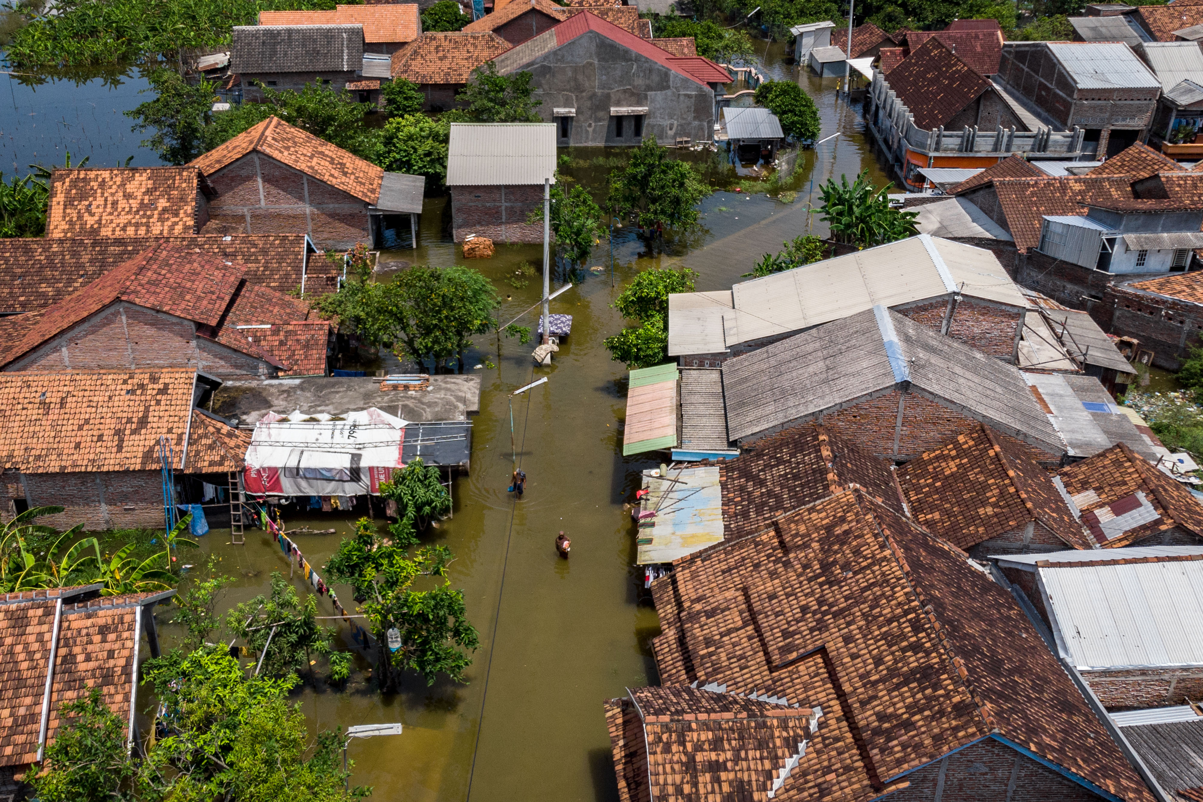 Foto udara permukiman warga yang terendam banjir akibat luapan air Sungai Dombo-Sayung di Desa Sayung, Demak