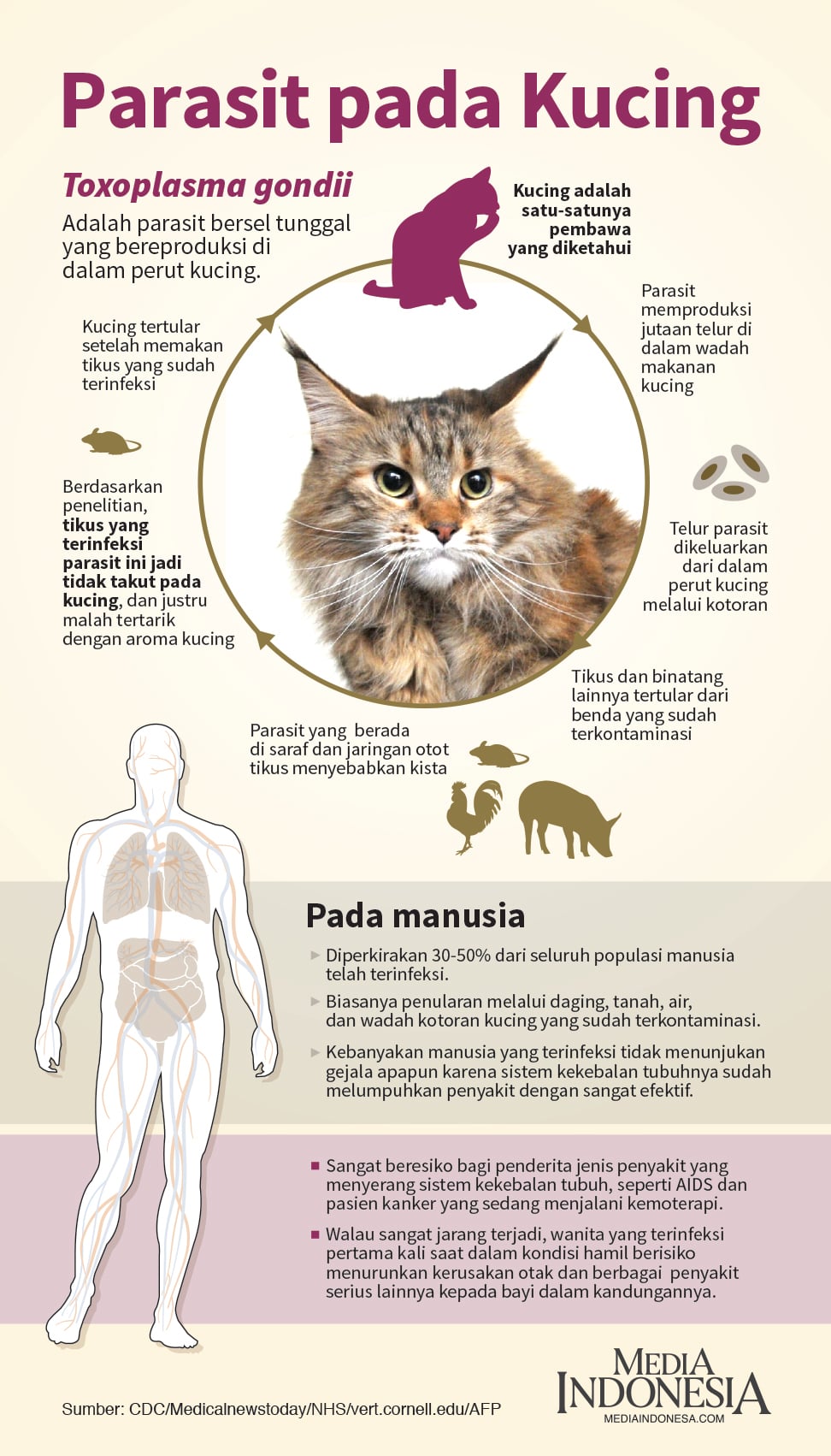 Toxoplasma gondii adalah jenis parasit bersel tunggal yang bereproduksi di dalam perut kucing.