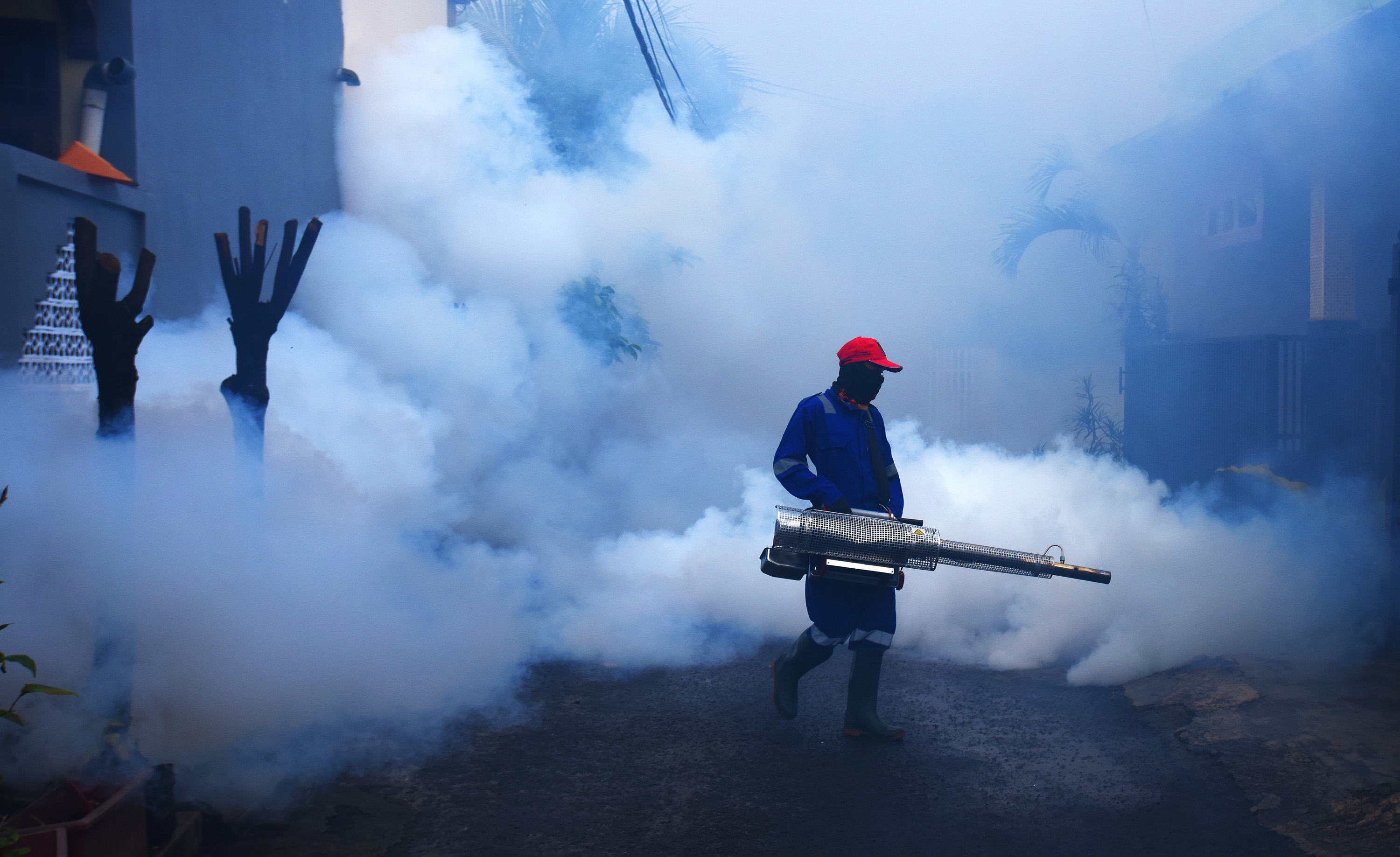 Fooging guna memberantas penyebaran nyamuk Adedes aegypti penyebab demam berdarah dengue (DBD). 