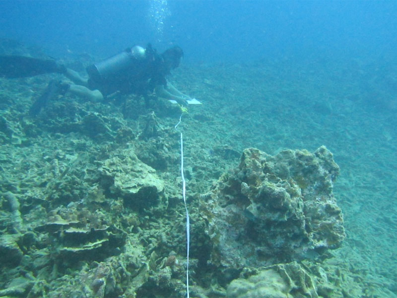 Terumbu karang yang rusak oleh dua kapal asing di perairan Bangka Belitung.
