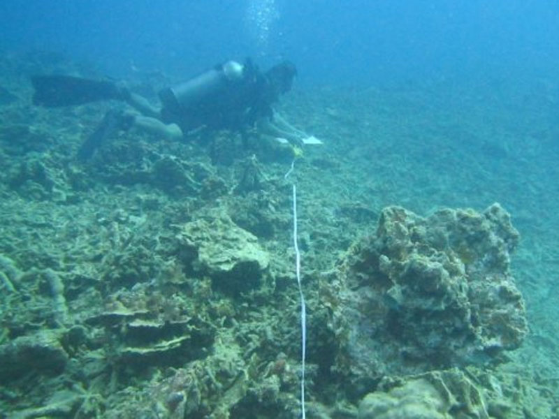 Direktorat Jenderal Penegakan Hukum LHK, Rasio Ridho Sani menyatakan dua kapal asing berbendera Bahama dan Belgia telah membayar ganti rugi.