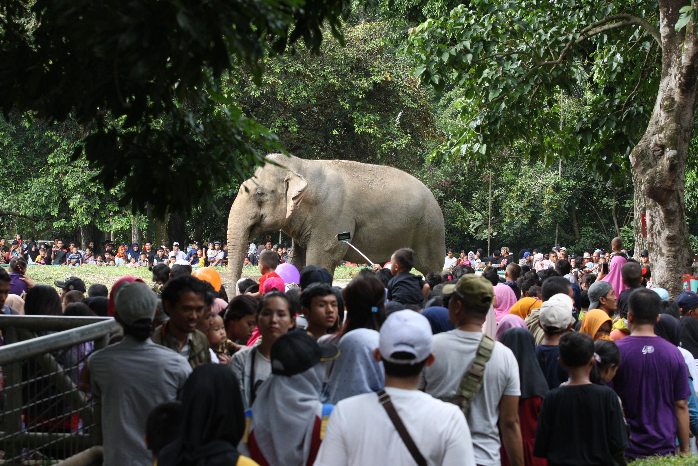 Taman Margasatwa Ragunan, Jakarta.
