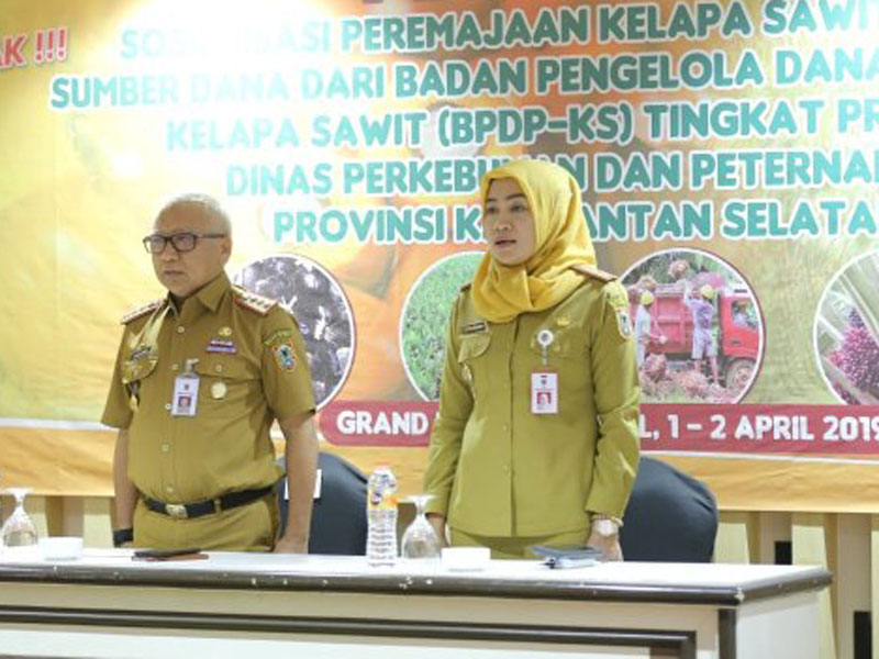 Sekdaprov Kalsel H Abdul Haris (kiri) dan Kepala Dinas Perkebunan dan Peternakan Kalsel Suparmi ketika sosialisasi peremajaan kelapa sawit. 