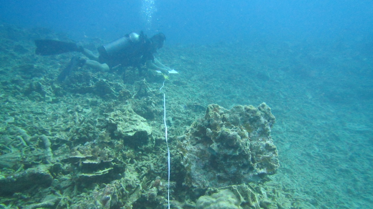  Dua kapal asing, MV Lyric Poet berbendera Bahama dan MT Alex berbendera Belgia, membayar lunas ganti rugi senilai total lebih dari USD$2,5 