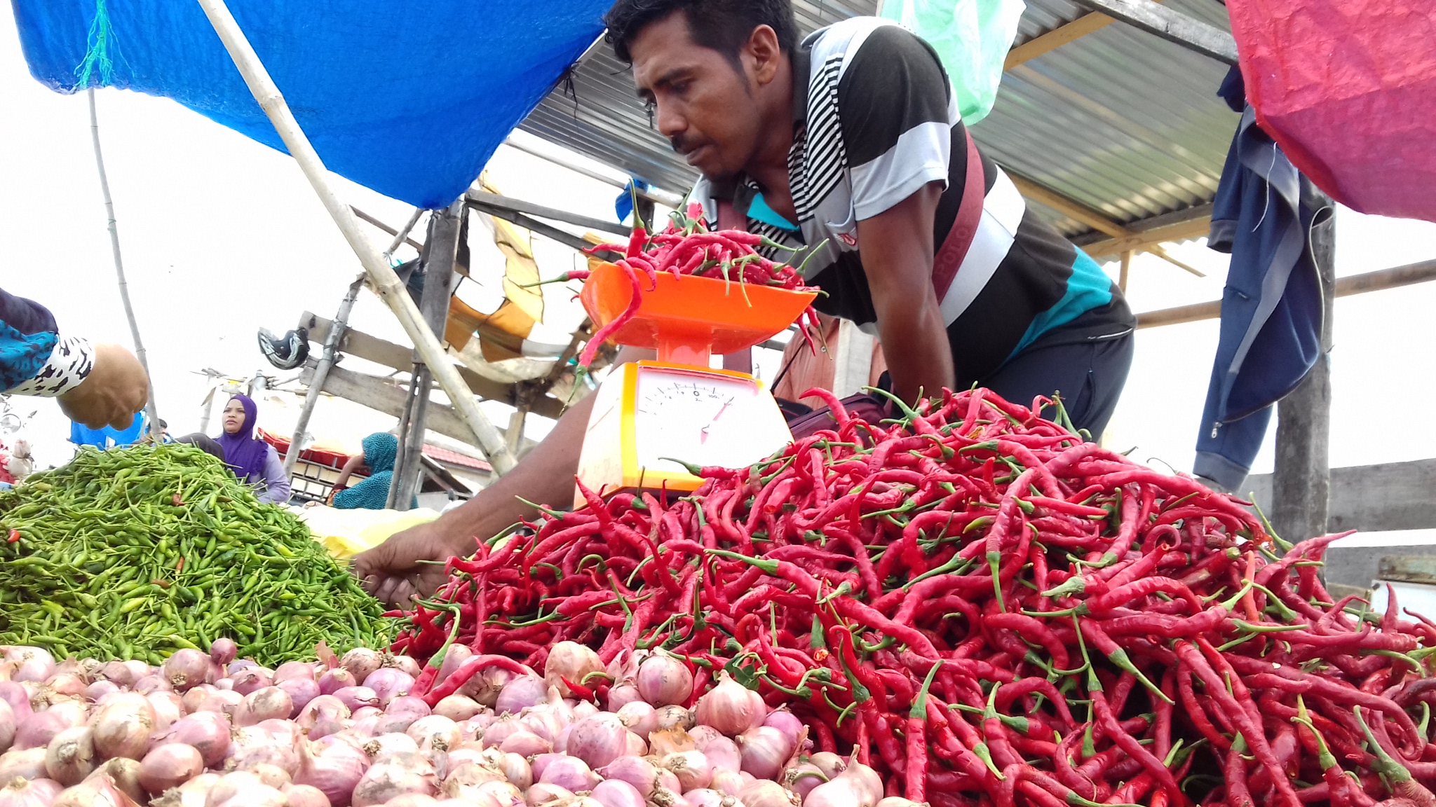 Pedagang Harga cabai merah di pasar tradisonal