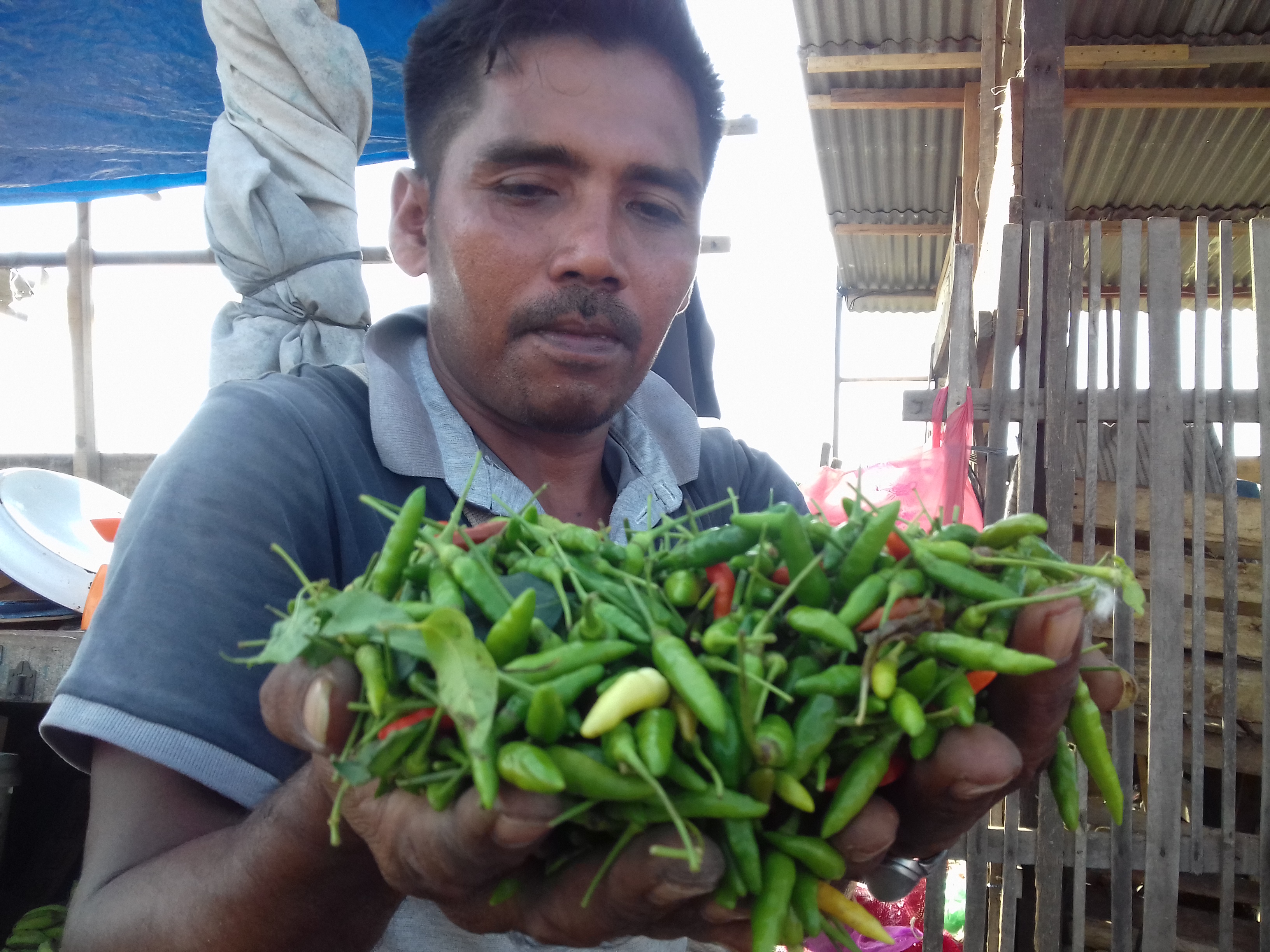 Harga cabai rawit di Provinsi Aceh melonjak drastis menjelang Ramadan.