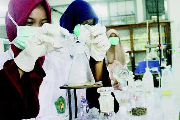Mahasiswa mengolah buah bintaro (Cerbera manghas) menjadi bioetanol di laboratorium kimia Universitas Negeri Malang, Malang, Jawa Timur