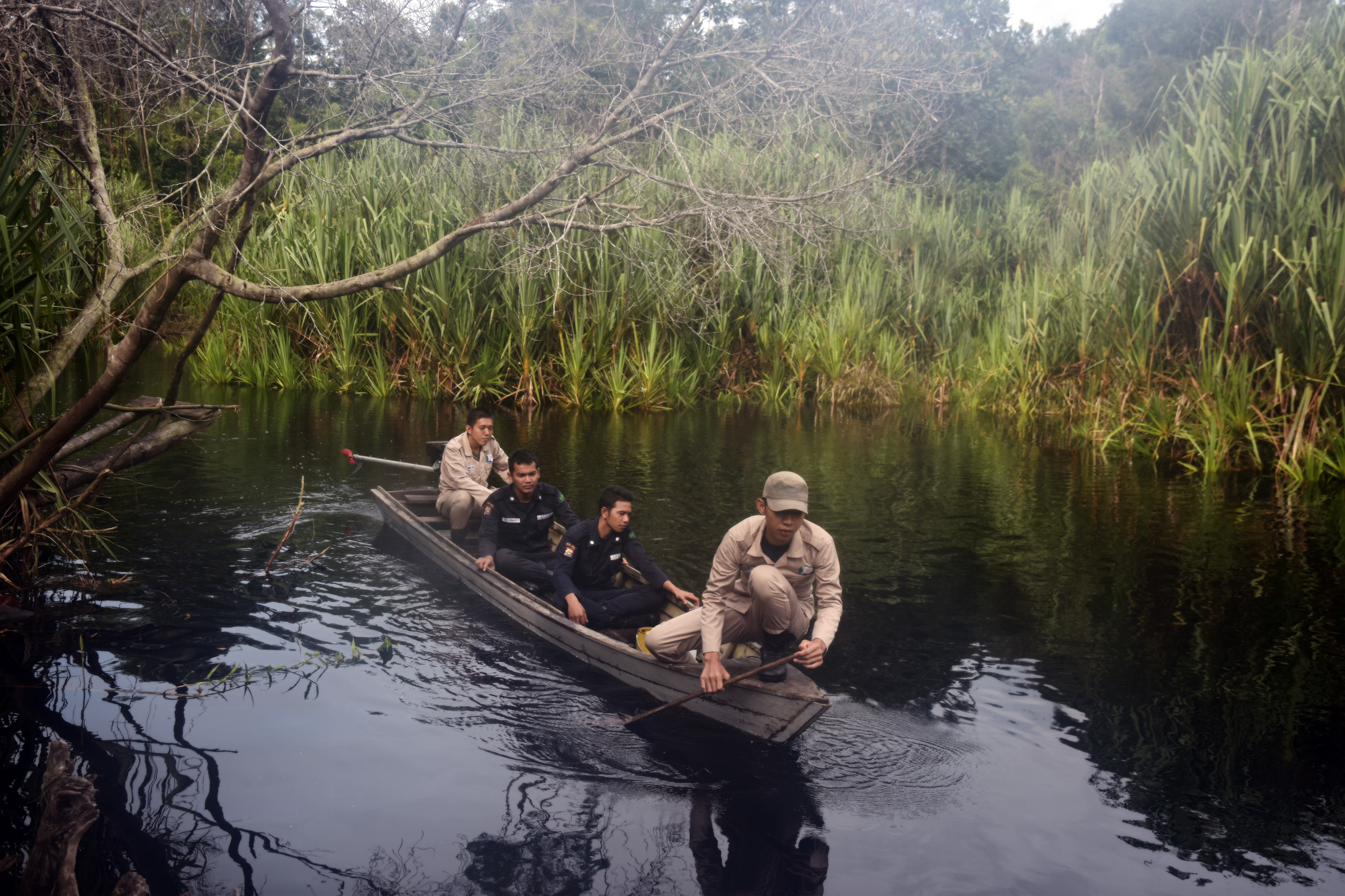 Kubah Gambut Tetap Jadi Sumber Air