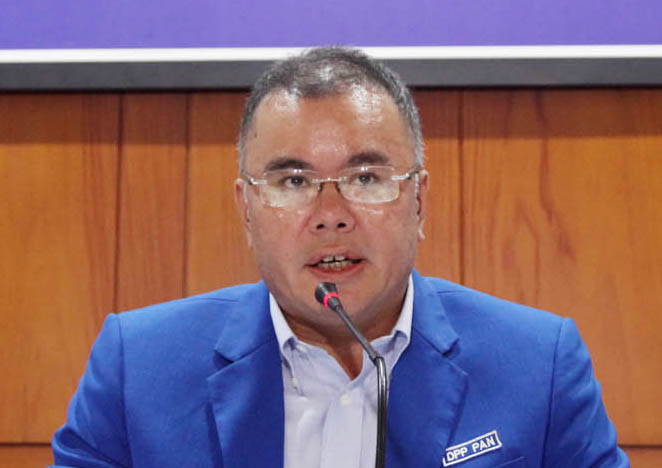 Wakil Ketua Umum Partai Amanat Nasional (PAN) Bara Hasibuan