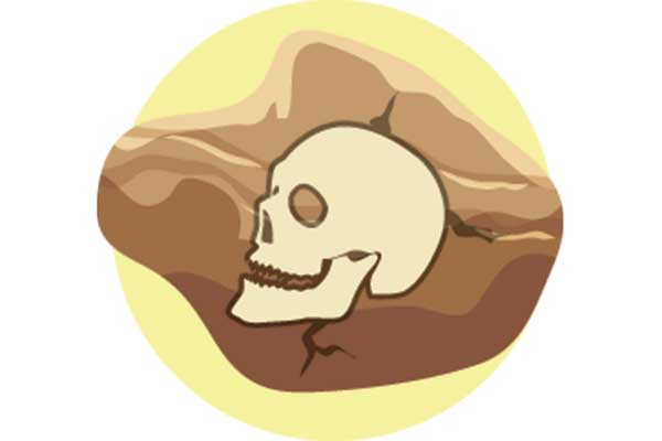 Manusia Purba Ditemukan