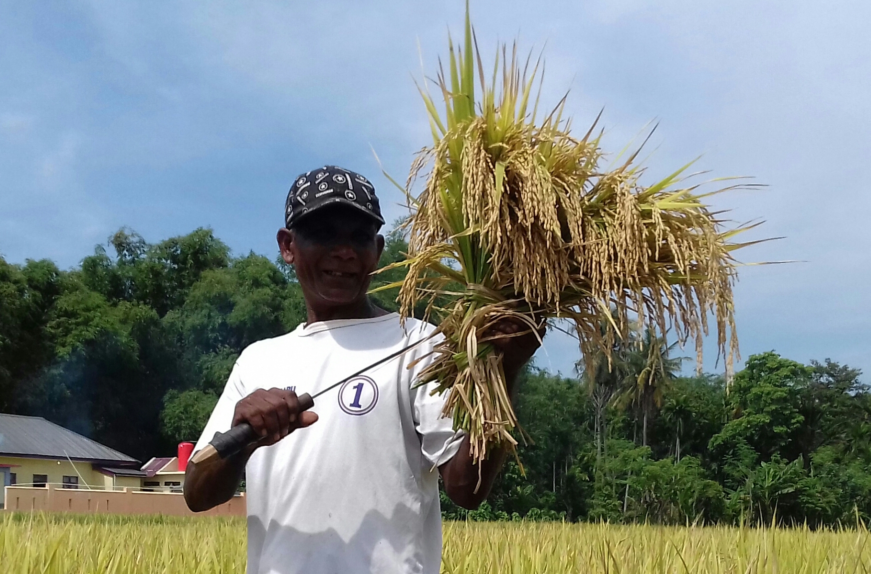 Seorang petani di Aceh pada Maret 2019. Pupuk Indonesia bersama perusahaan lain menggelar Pekan Pakan Murah di Ciamis, Jawa Barat.