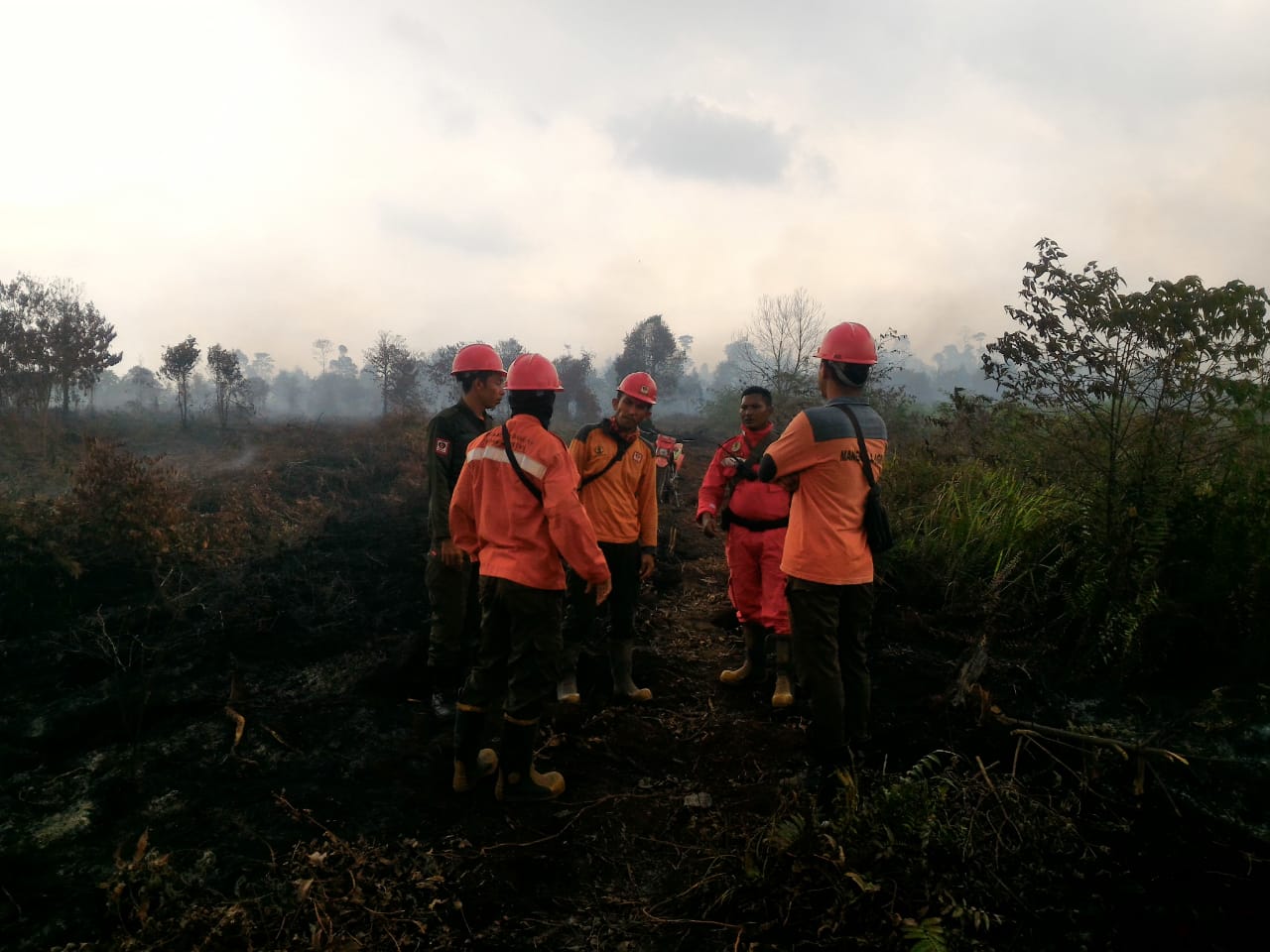 Tim pemadam manggala agni KLHK Riau sedang memadamkan kebakaran hutan dan lahan (Kahutla) di kawasan hutan produksi terbatas (HPT)