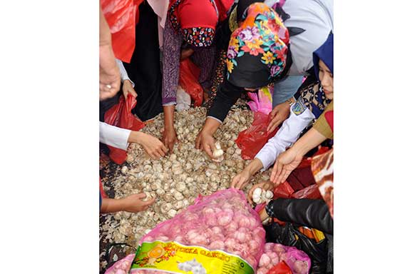 Sejumlah ibu rumah tangga memilih bawang putih yang dijual