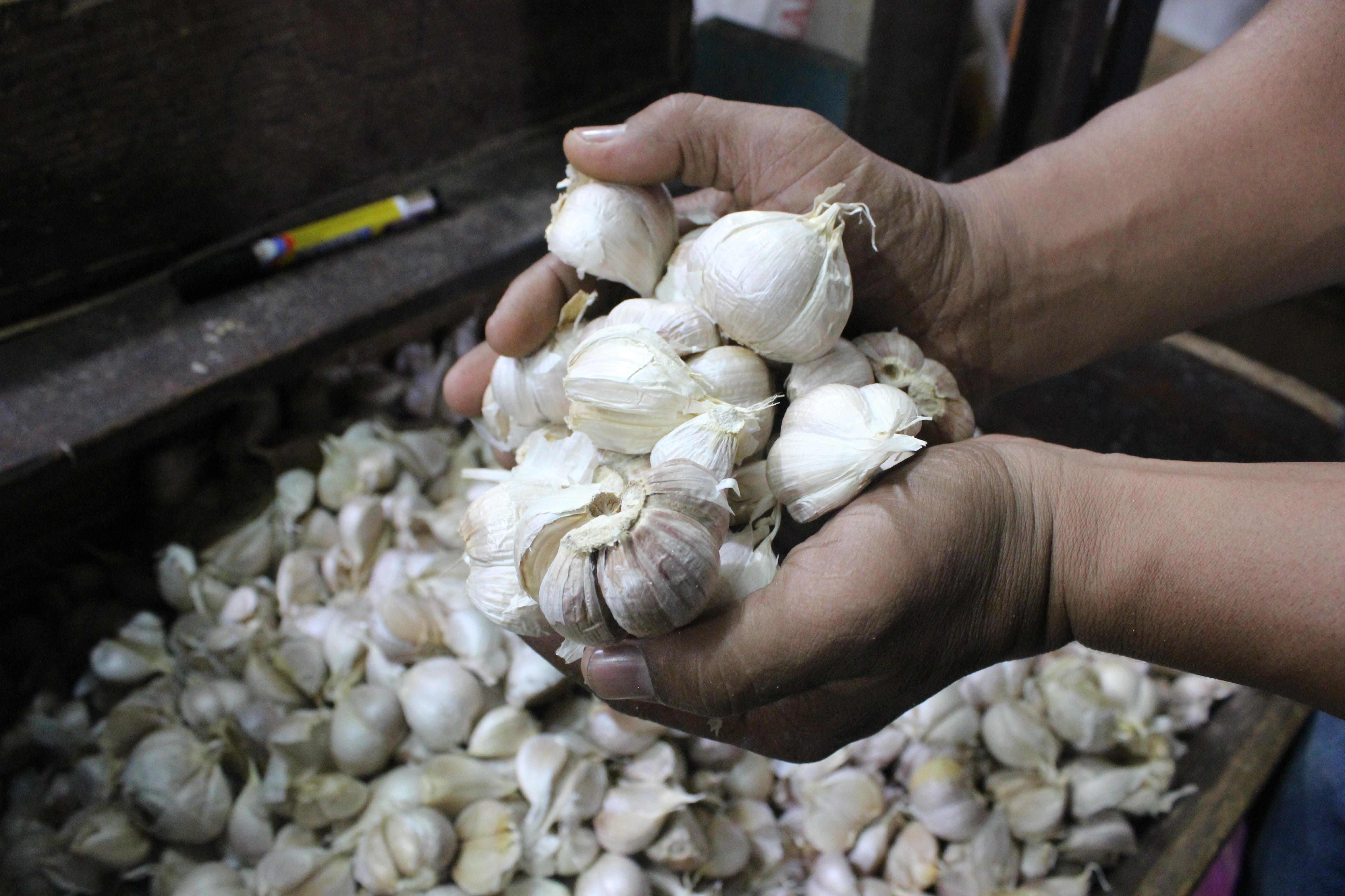  Harga bawang putih turun dari rata-rata Rp70.000 menjadi Rp30.000-Rp35.000 per kilogramnya setelah kementerian pertanian menggelar operasi 